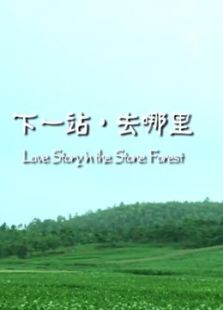 下一站去哪里