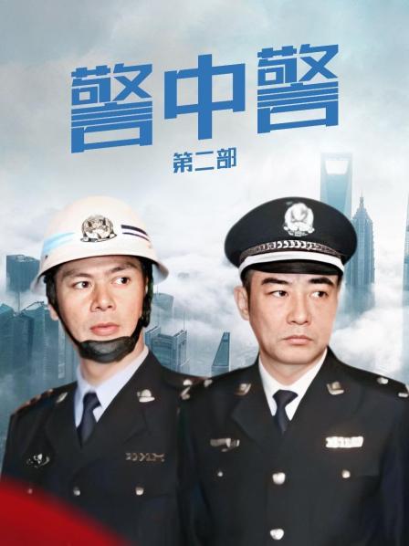 警中警 第二部