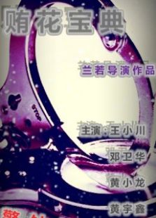 贿花宝典