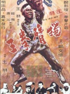 独臂拳王1972年