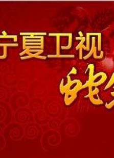 宁夏2013春晚