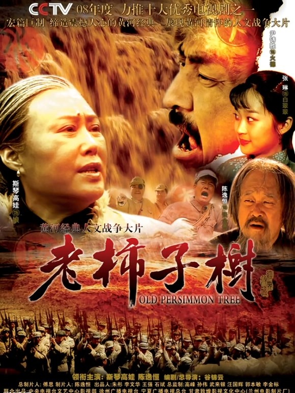 老柿子树