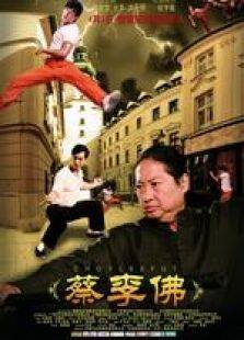 蔡李佛:极限拳速
