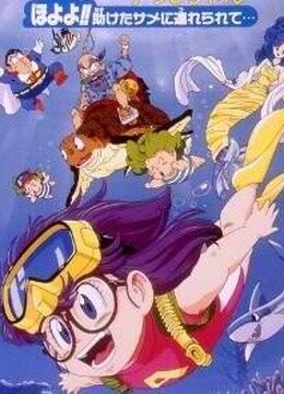 8哦呦呦！获救的鲨鱼带我们去