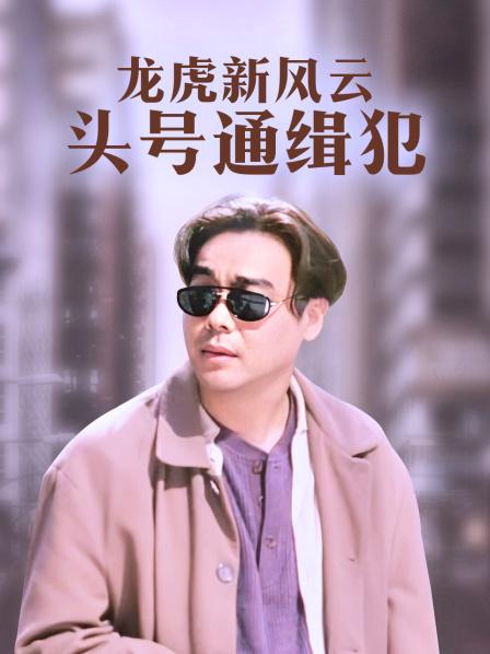 龙虎新风云头号通缉犯