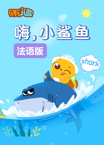 贝瓦学法语:嗨，小鲨鱼