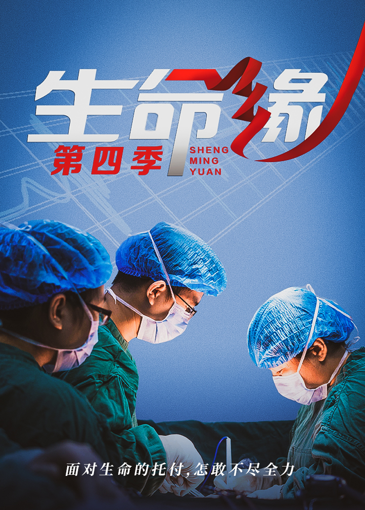 生命缘 第四季
