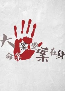 大案命案要案在身