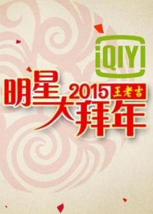 2015明星大拜年