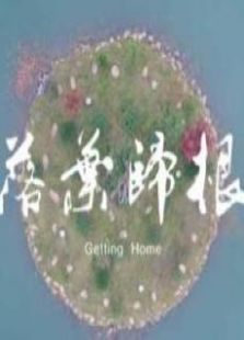 落叶归根