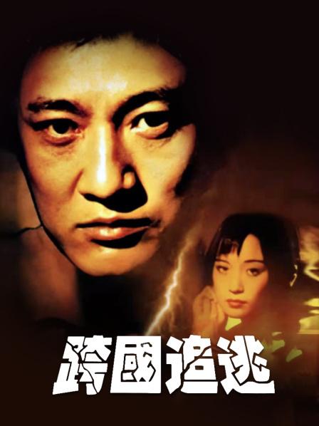 跨国追逃