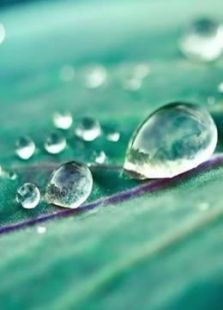 小学趣味科学实验—水