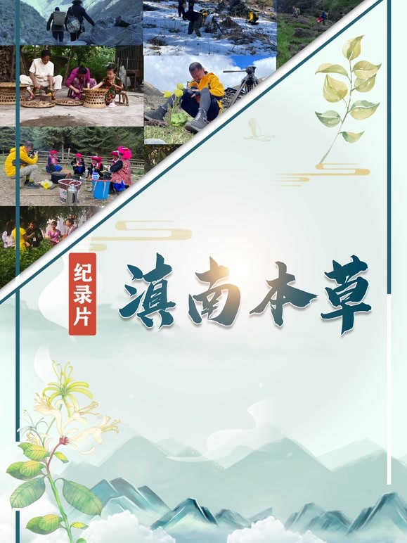 滇南本草