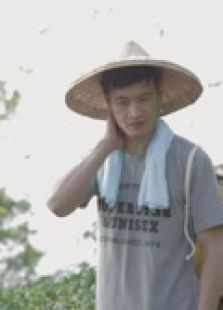 茶緣
