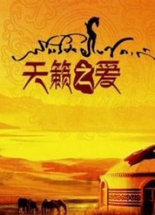 天籁之爱 藏歌会
