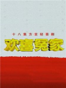 欢喜冤家 第二部