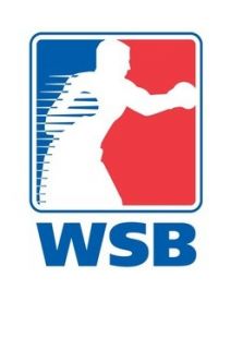 2015WSB拳击赛