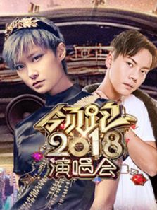浙江2018跨年演唱会