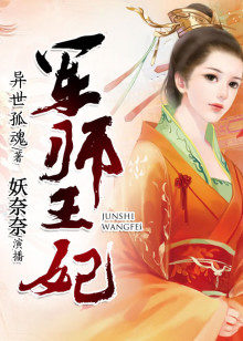 军师王妃有声书