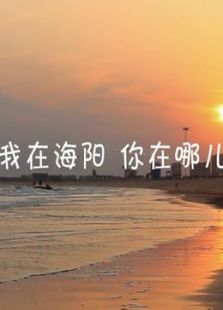 我在海阳，你在哪
