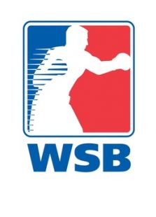 WSB拳击赛
