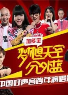 爱奇艺2013跨年盛宴