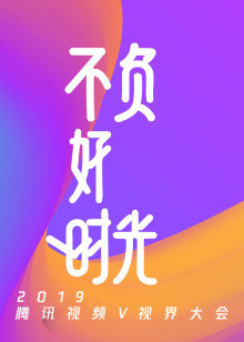 2019视频V视界大会