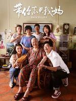 带你去见我妈