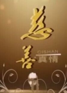 慈善真情