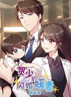 贺少的闪婚暖妻 第二季
