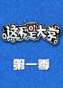 这不是大学