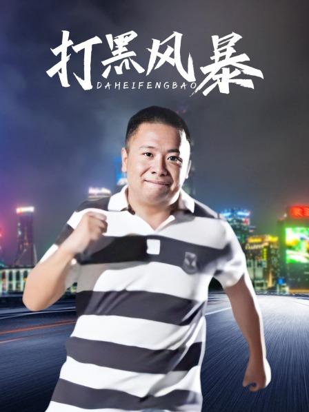 打黑风暴