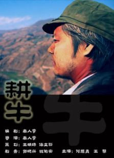 耕牛