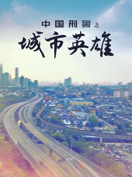 中国刑警之城市英雄
