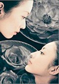 牡丹与蔷薇