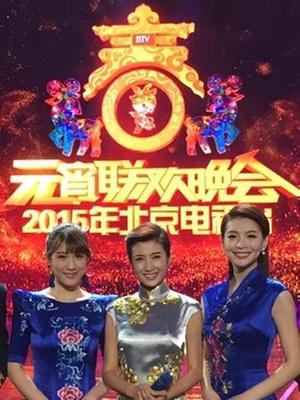 北京2015元宵晚会