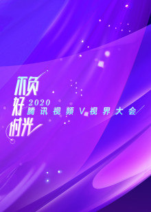 2020视频V视界大会