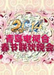 2014年山东六城市春晚