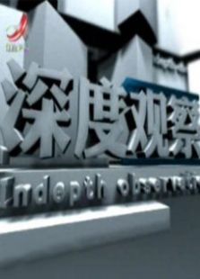 深度观察2012