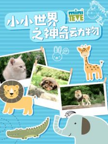 小小世界之神奇动物