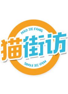 猫街访