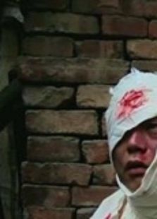 绝代双记