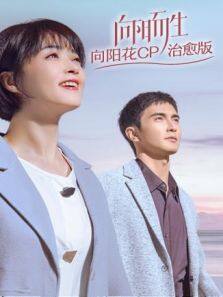 向阳而生 向阳花