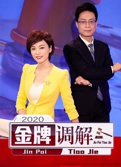 金牌调解2020