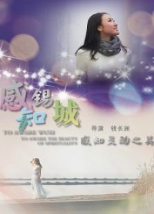 感知锡城