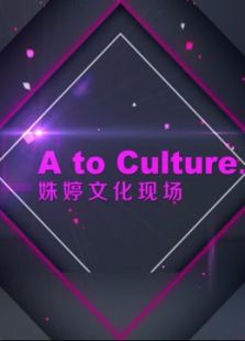 姝婷文化现场 第一季