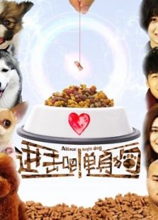 进击吧！单身狗