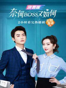 奈何BOSS又如何