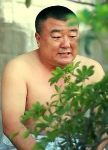 装