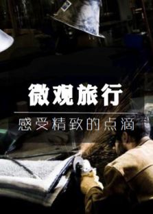 微观旅行